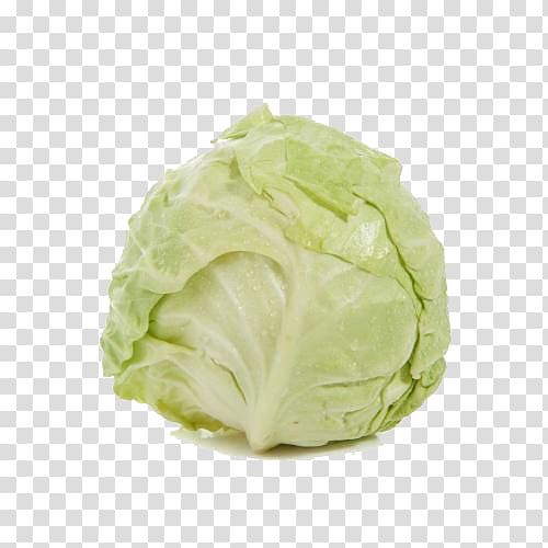 Savoy cabbage, Free cabbage buckle transparent background PNG clipart