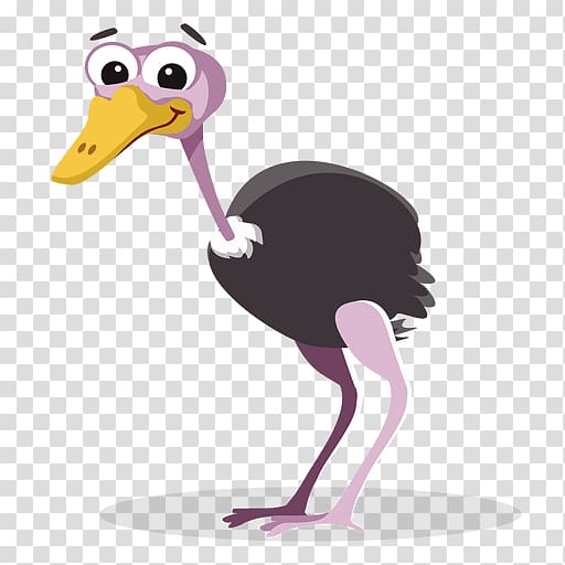 Common ostrich Cartoon , ostrich transparent background PNG clipart