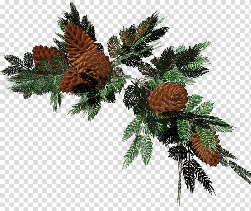 Fir Pine Ded Moroz Christmas decoration, wreath transparent background PNG clipart