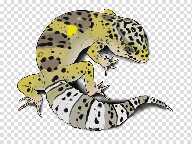 Gecko Frog Terrestrial animal, Common Leopard Gecko transparent background PNG clipart