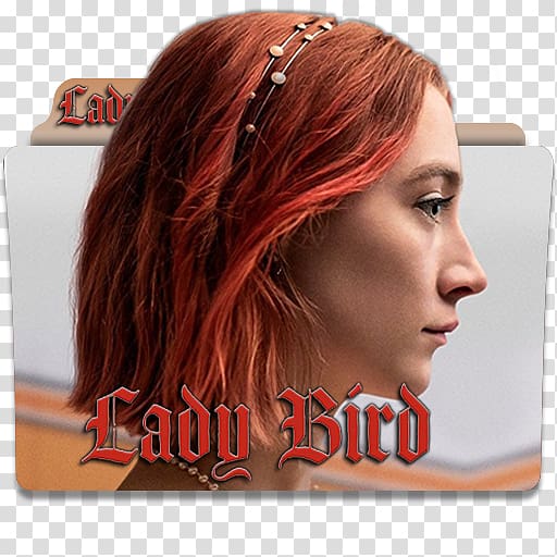 Lady Bird Film criticism Academy Award for Best Actor, lady bird transparent background PNG clipart