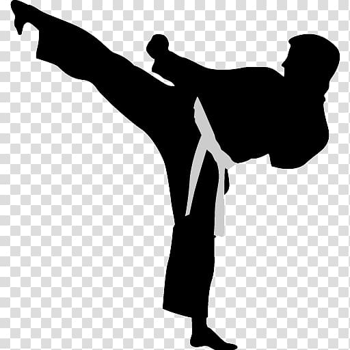 Karate transparent background PNG clipart