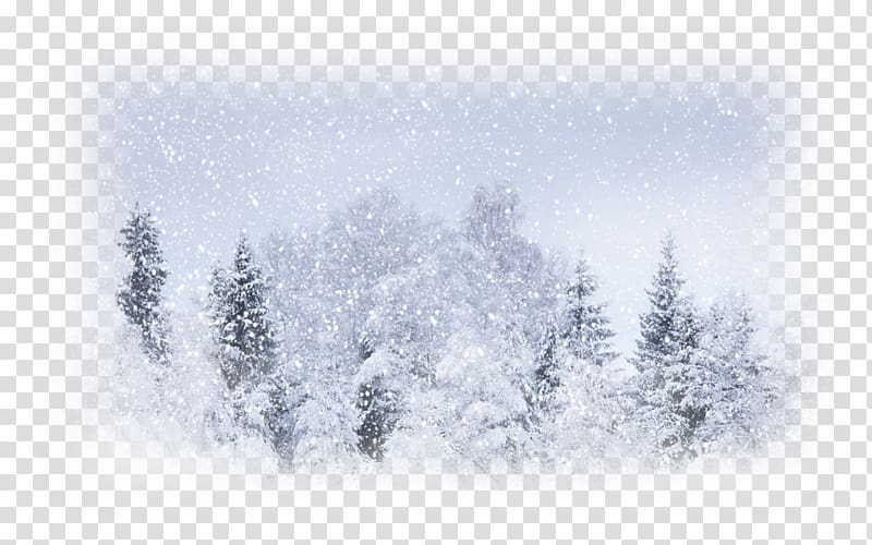 Snow Weather Winter storm Blizzard, snow transparent background PNG clipart