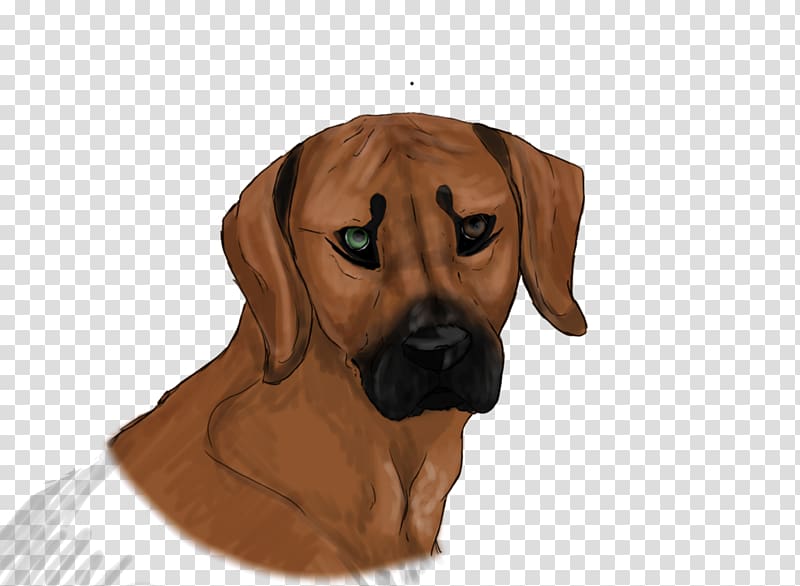 Redbone Coonhound Rhodesian Ridgeback Broholmer Puppy Dog breed, puppy transparent background PNG clipart