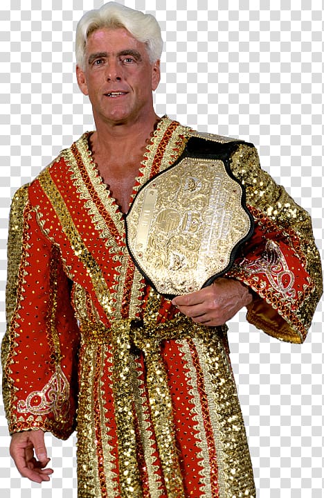 Ric Flair World Heavyweight Championship WWE Raw WWE Championship Big Gold Belt, wwe transparent background PNG clipart