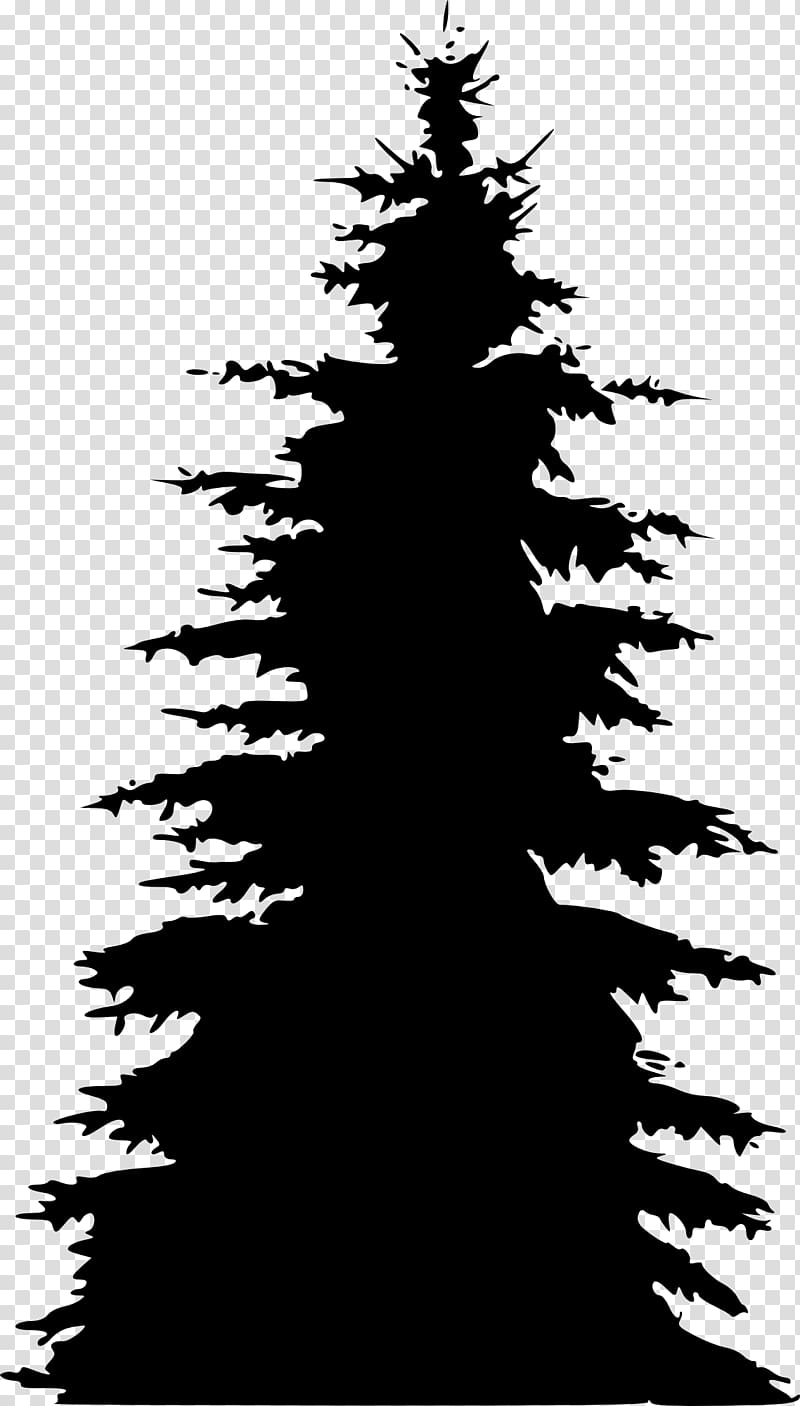 Pine Fir Spruce Tree Silhouette, pine tree transparent background PNG clipart