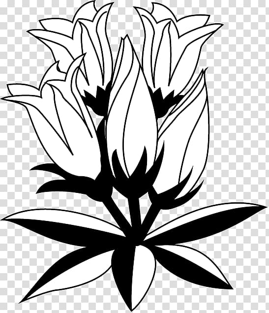 Gentiana scabra Floral design Drawing , flower transparent background PNG clipart