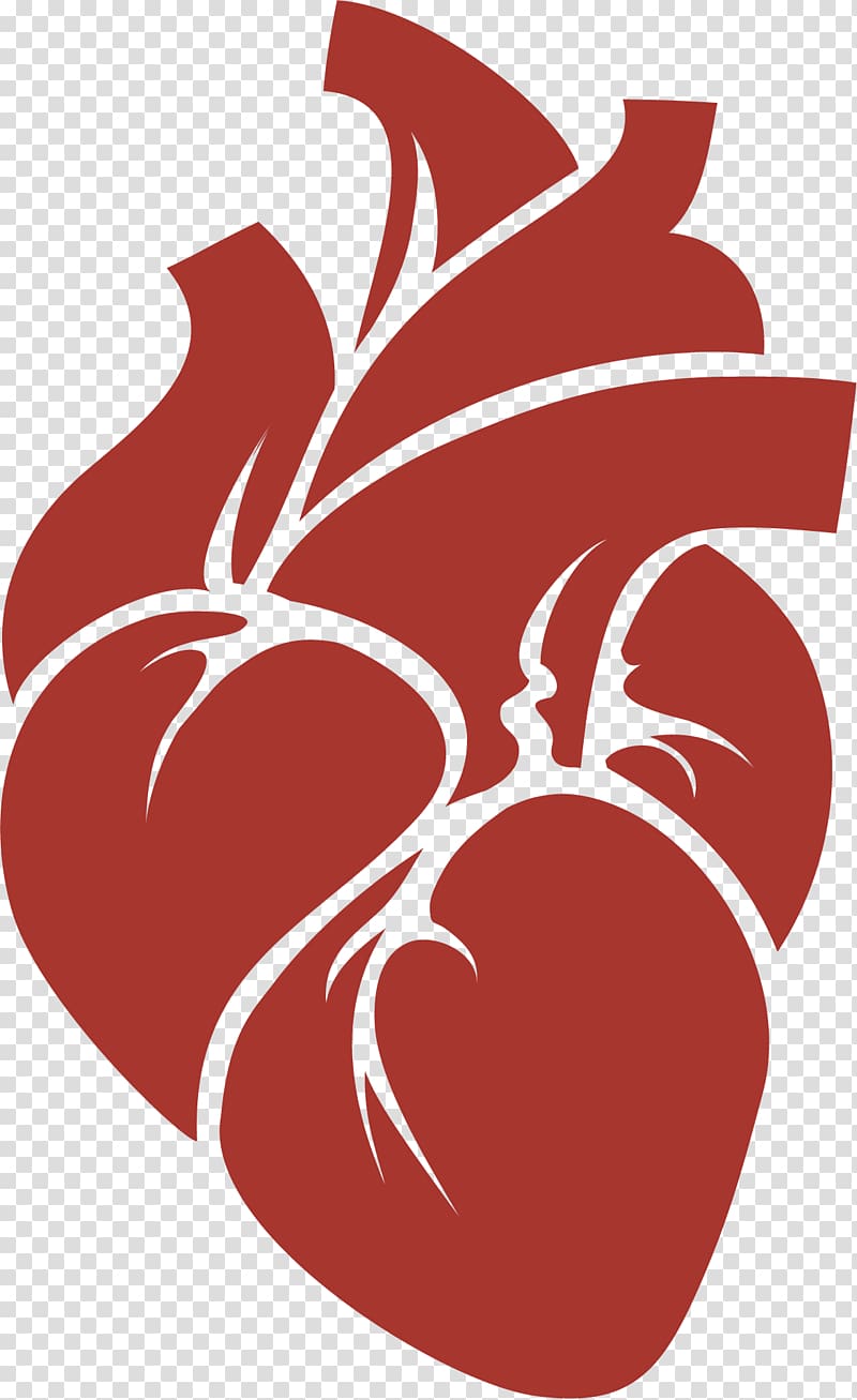 Red Heart, Red heart transparent background PNG clipart