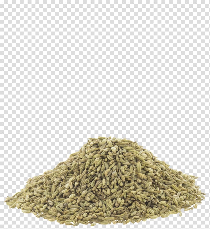 Fennel Organic food Spice Whole food, whole transparent background PNG clipart
