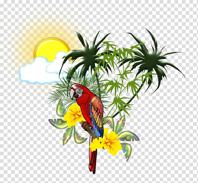 Scarlet macaw Parrot Bird , tropical transparent background PNG clipart