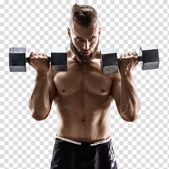 Weight training Exercise Biceps Physical strength Shoulder, dumbbell transparent background PNG clipart