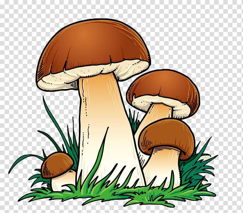 Mushroom Cartoon, mushroom,lovely,Cartoon,color transparent background