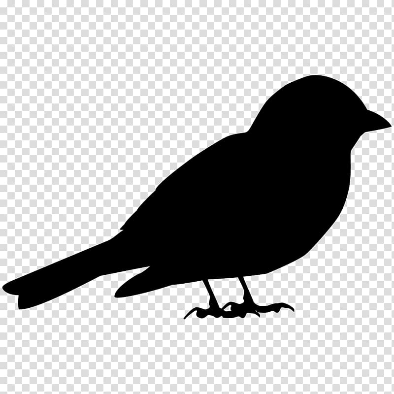 House Sparrow Bird American crow Song sparrow, sparrow transparent background PNG clipart