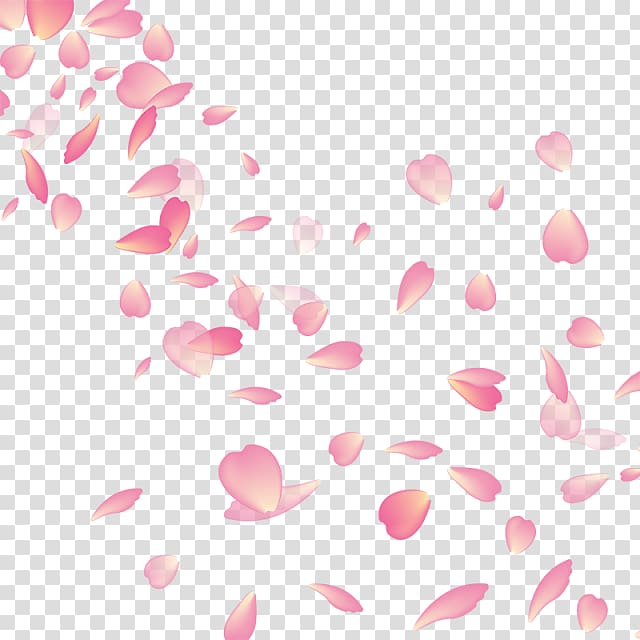 pink petals illustration, Cherry blossom My Flower, cherry blossoms transparent background PNG clipart