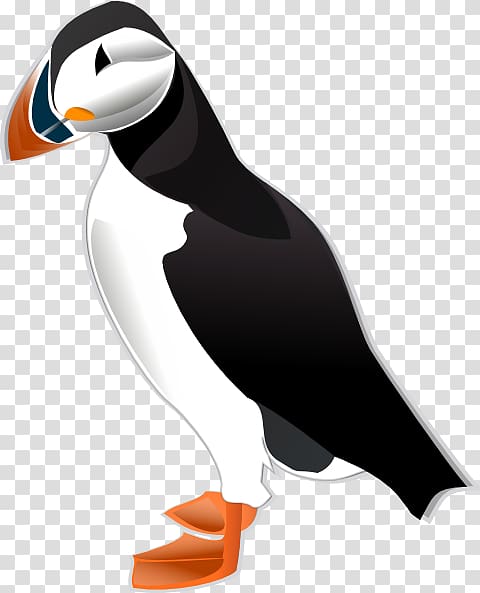 Atlantic Puffin Horned puffin Tufted puffin , Puffin transparent background PNG clipart