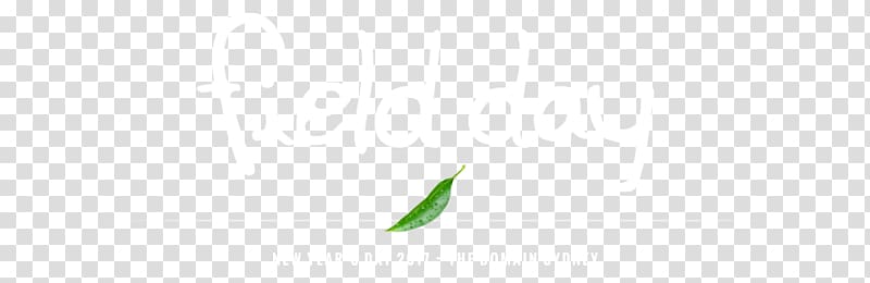 Leaf Close-up Plant stem Sky plc Font, Field Day transparent background PNG clipart