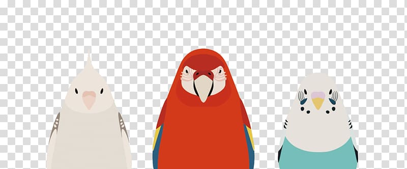 Parrot Penguin , three parrots transparent background PNG clipart