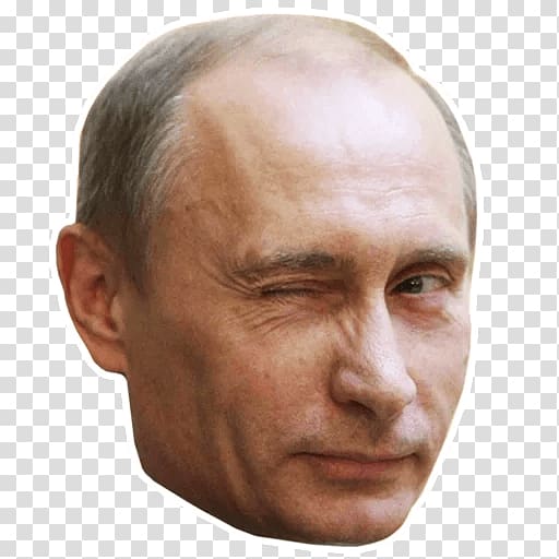 Vladimir Putin Accession of Crimea to the Russian Federation United States Putin\'s Russia, vladimir putin transparent background PNG clipart