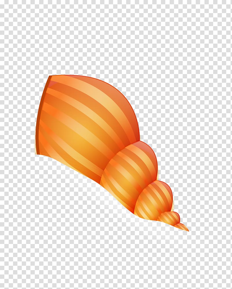 Conch Sea snail Organism, golden marine conch transparent background PNG clipart