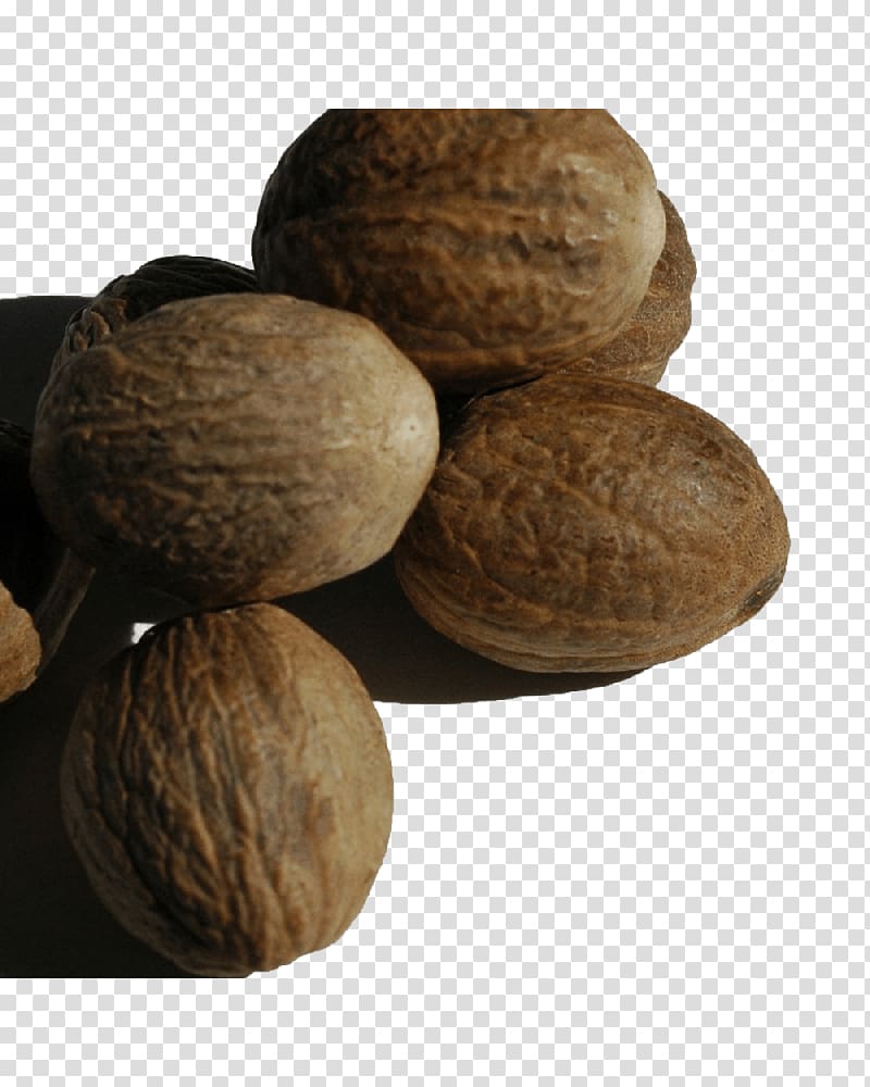 Walnut Tree nut allergy Ingredient VY2, spice transparent background PNG clipart