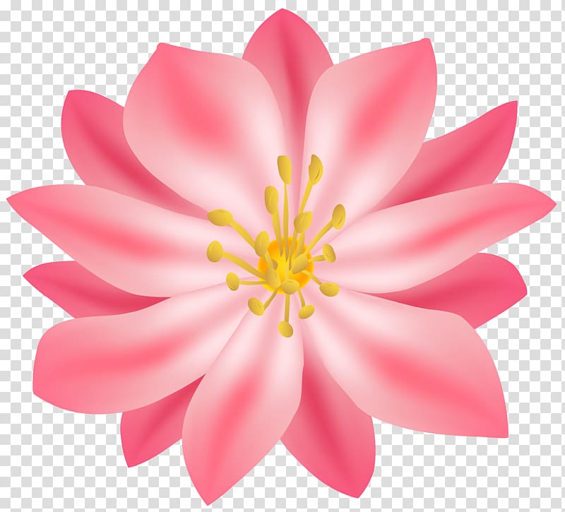 pink flower , Flower , Flower transparent background PNG clipart