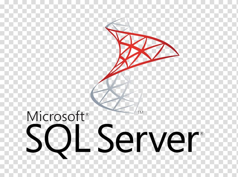 Microsoft SQL Server SQL Server Management Studio Database server, microsoft transparent background PNG clipart