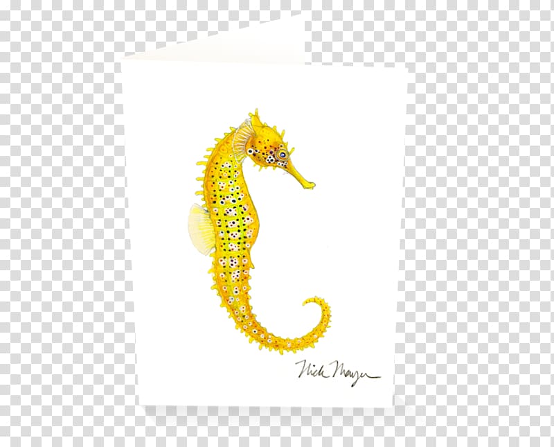Pacific seahorse Big-belly seahorse Yellow seahorse Leafy seadragon Syngnathidae, Watercolor seahorse transparent background PNG clipart