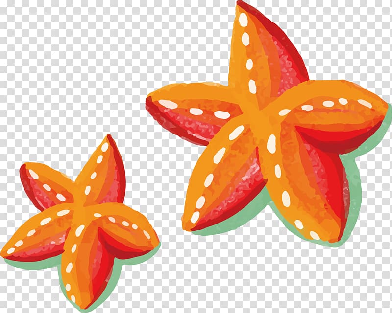 Watercolor painting Starfish, Orange painted starfish transparent background PNG clipart