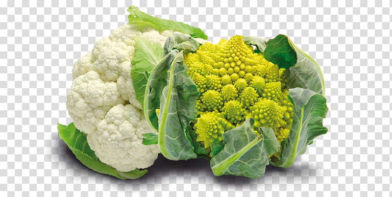 Romanesco broccoli Cauliflower Broccoflower Vegetable, broccoli transparent background PNG clipart