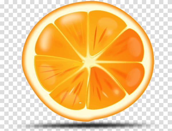 Orange graphics Citrus × sinensis Open, orange transparent background PNG clipart