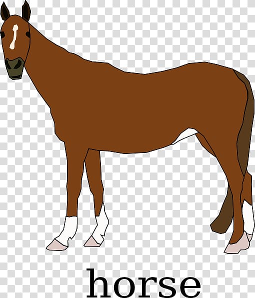 Clydesdale horse Pony , cartoon horse transparent background PNG clipart