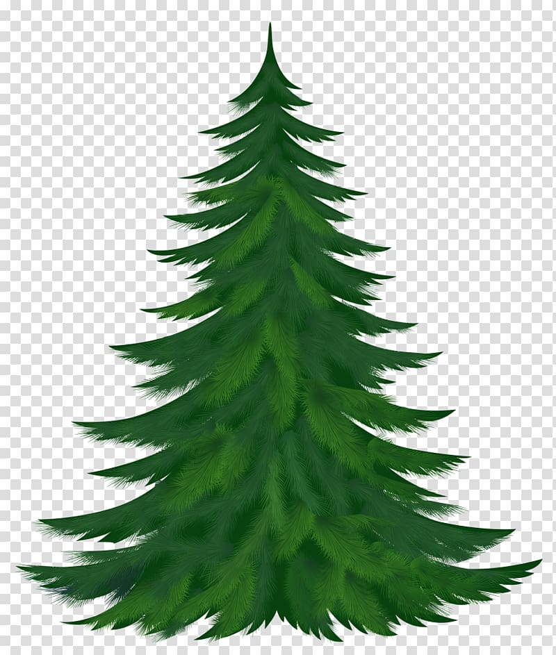 Candy cane Christmas tree , fir-tree transparent background PNG clipart