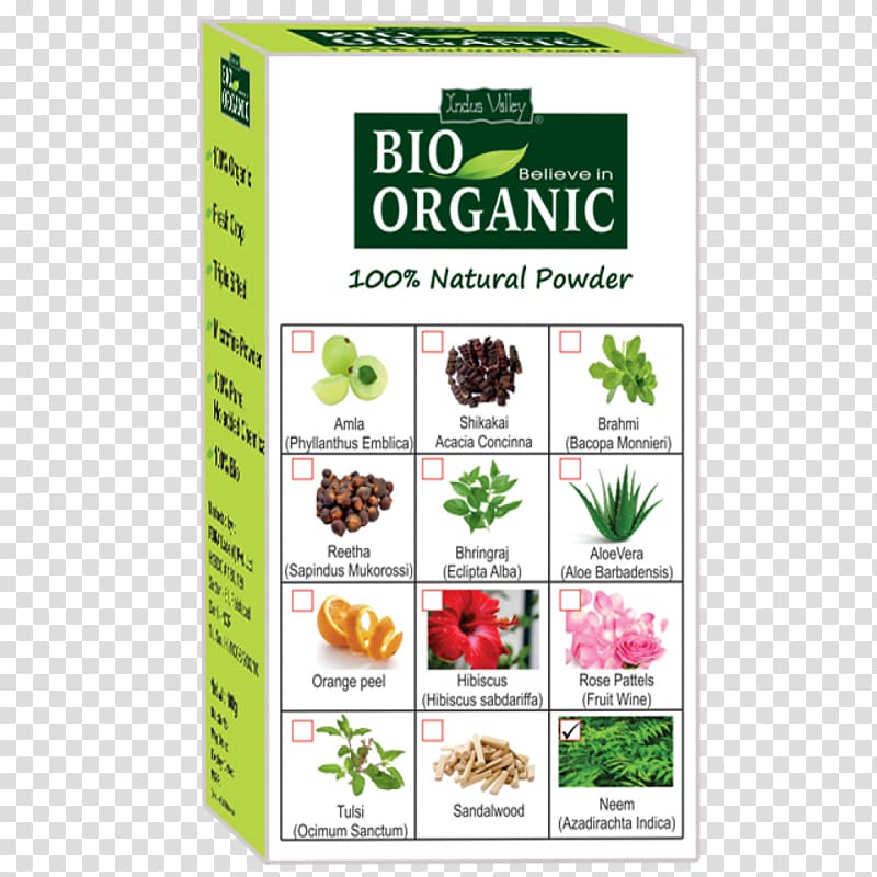 Amazon.com Flower Indus Valley Civilisation Herbalism, flower transparent background PNG clipart