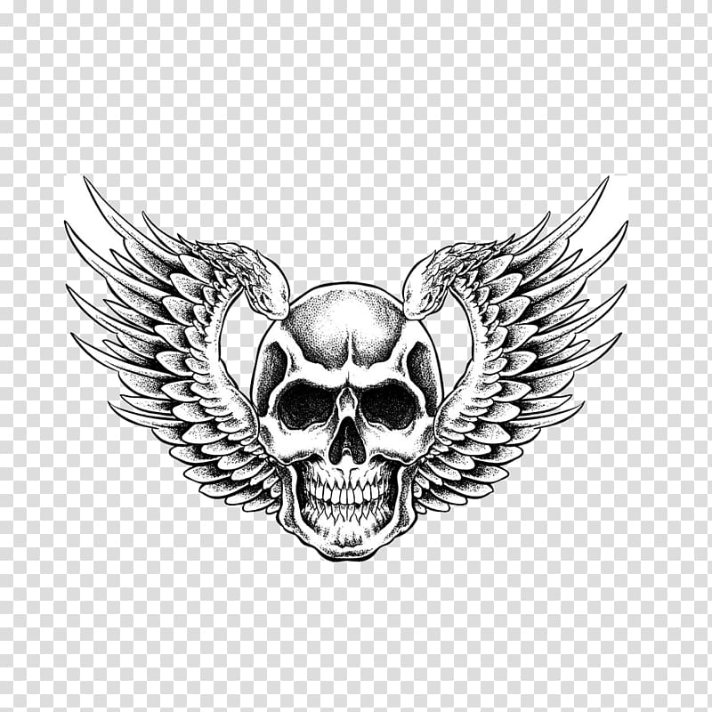 gray skull illustration, Human skull symbolism Drawing, Skull transparent background PNG clipart