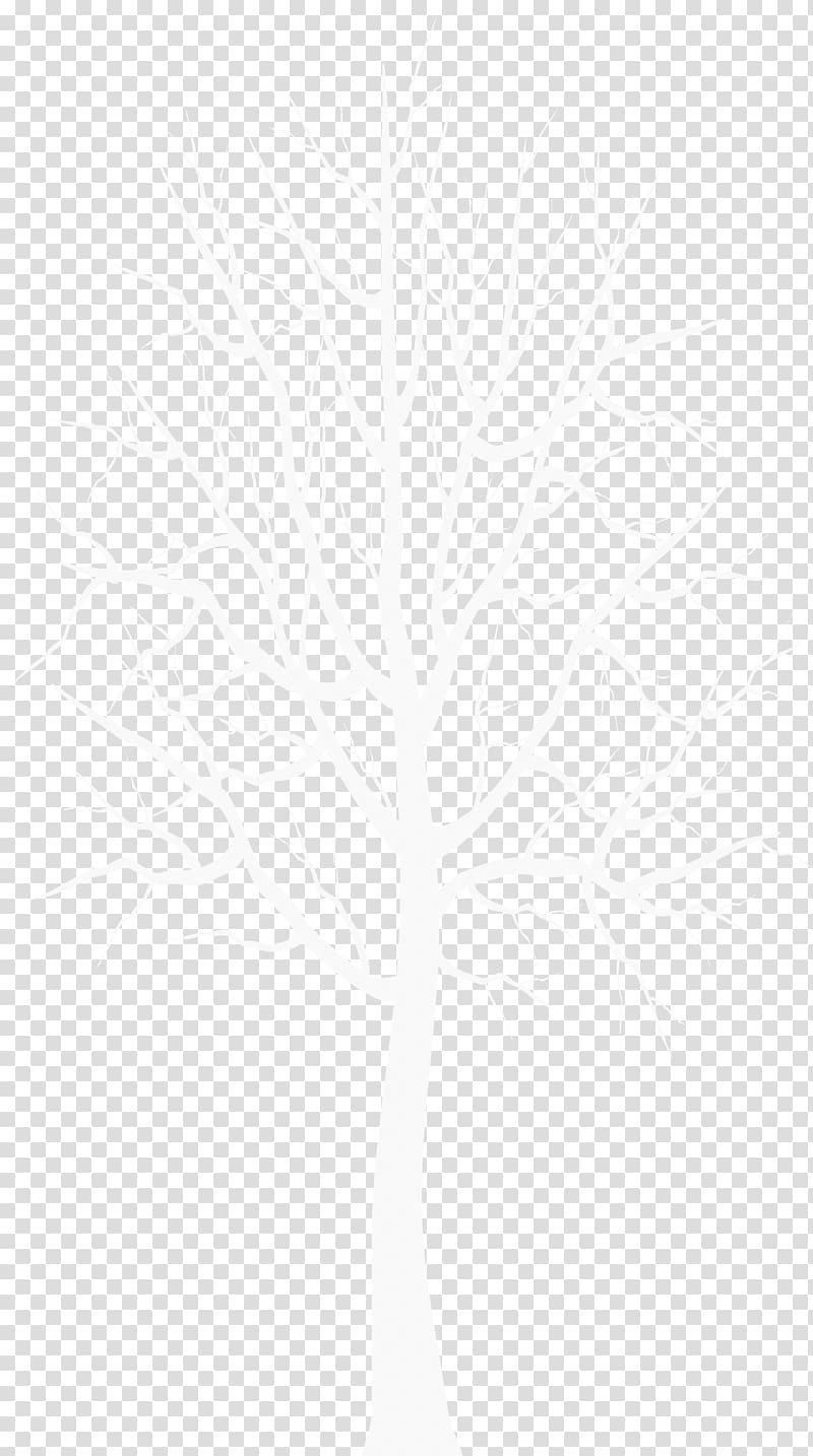 white leafless tree , Black and white Angle Point Pattern, White Winter Tree transparent background PNG clipart