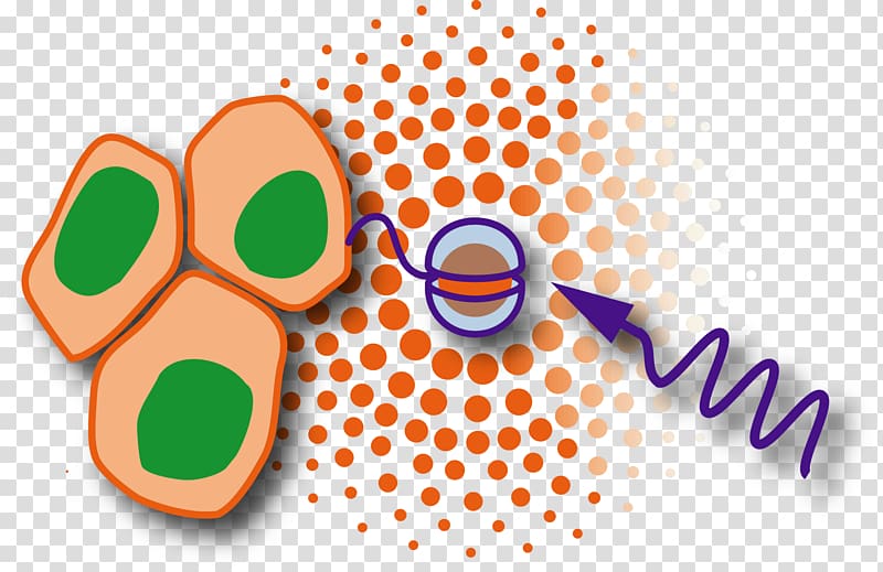 European Research Council European Union Horizon 2020, European Laboratory For Nonlinear Spectroscopy transparent background PNG clipart