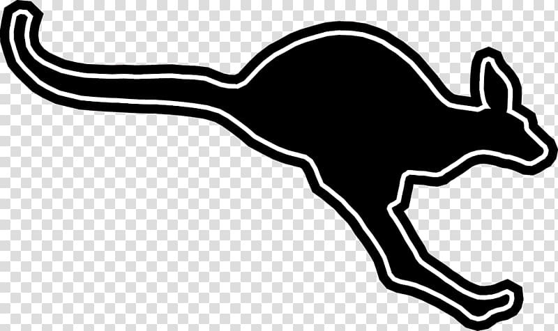 Austin College Kangaroos football Austin College Kangaroos men\'s basketball Logo , kangaroo transparent background PNG clipart