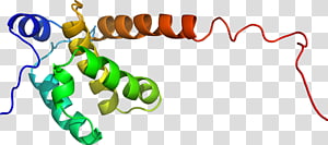 Line Point Organism , line transparent background PNG clipart thumbnail