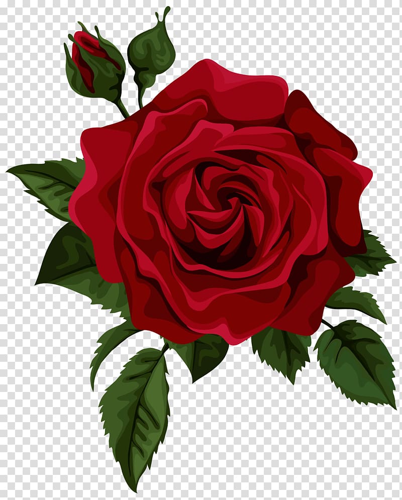 Rose Flower Red Euclidean , Red Rose with Bud , red rose illustration transparent background PNG clipart