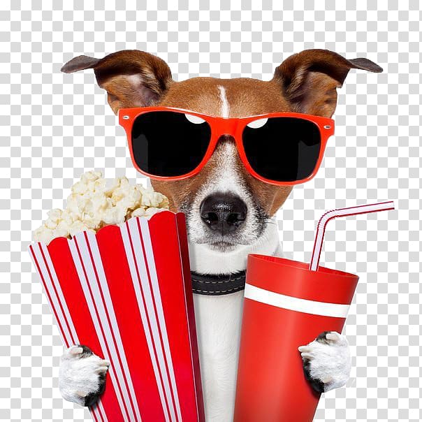 Film poster Williamsburg Hollywood Production Companies, dog with camera transparent background PNG clipart