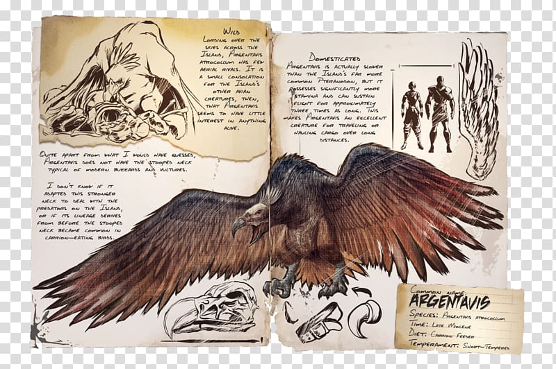 ARK: Survival Evolved Tapejara Bird Argentavis magnificens Dinosaur, Bird transparent background PNG clipart