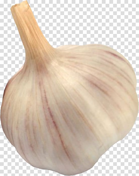 Garlic Dandan noodles Onion, garlic transparent background PNG clipart