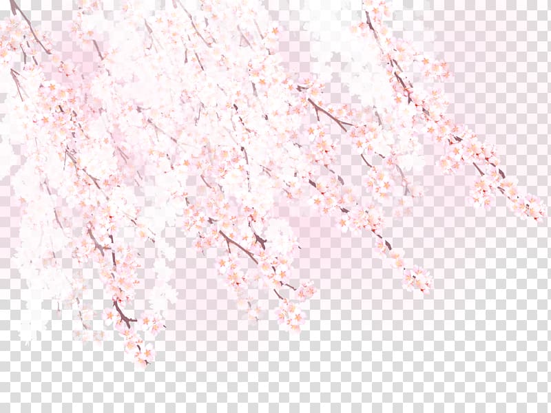 romantic cherry flower pattern transparent background PNG clipart