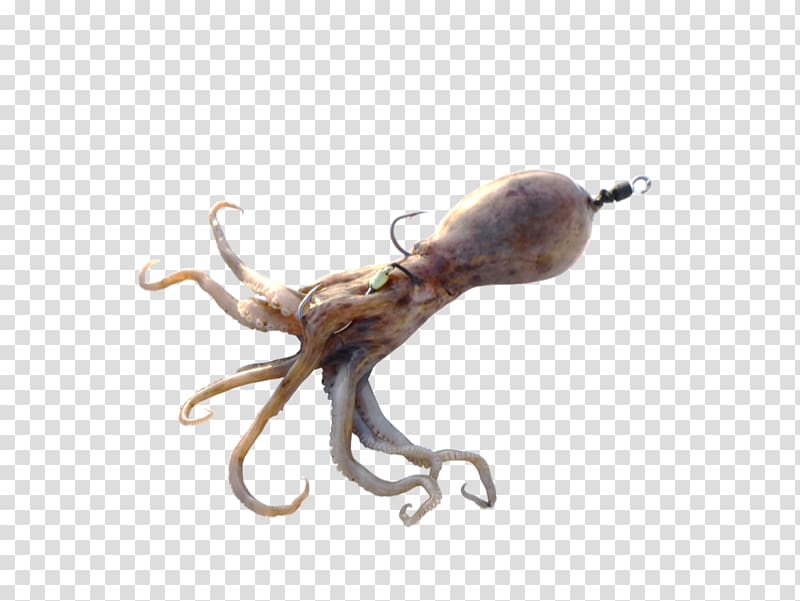 Octopus Squid Surf fishing Bait, fireball transparent background PNG clipart
