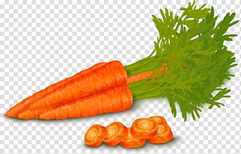 Organic food Vegetable Carrot , painted carrot transparent background PNG clipart