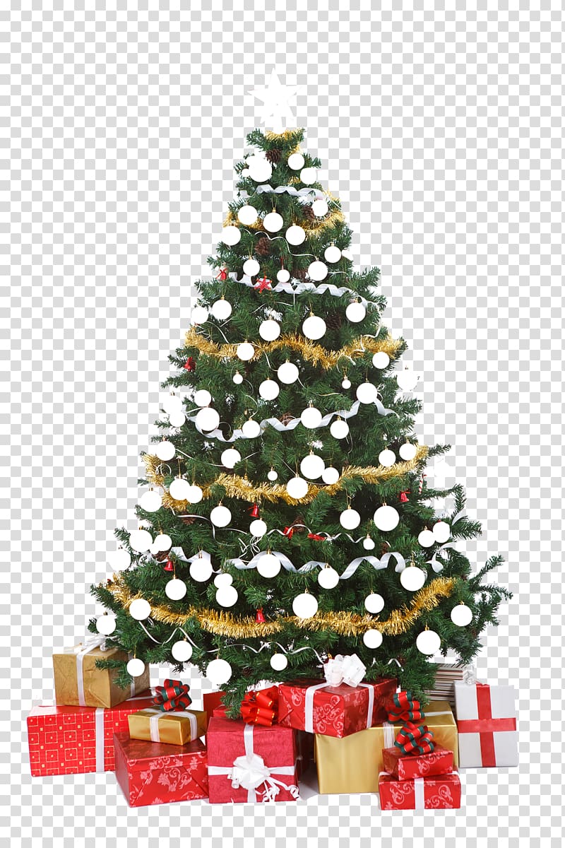 Christmas tree Christmas decoration Christmas ornament, tea tree transparent background PNG clipart