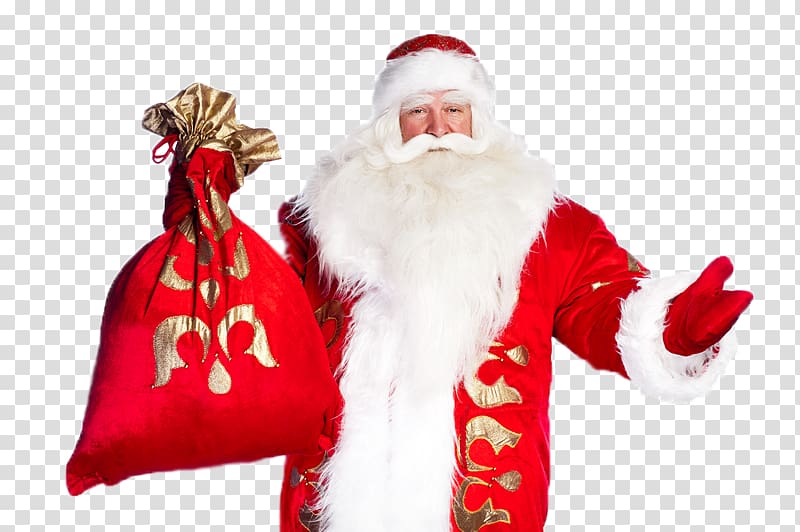 Ded Moroz Snegurochka New Year grandfather Ziuzia, Santa Claus Christmas transparent background PNG clipart