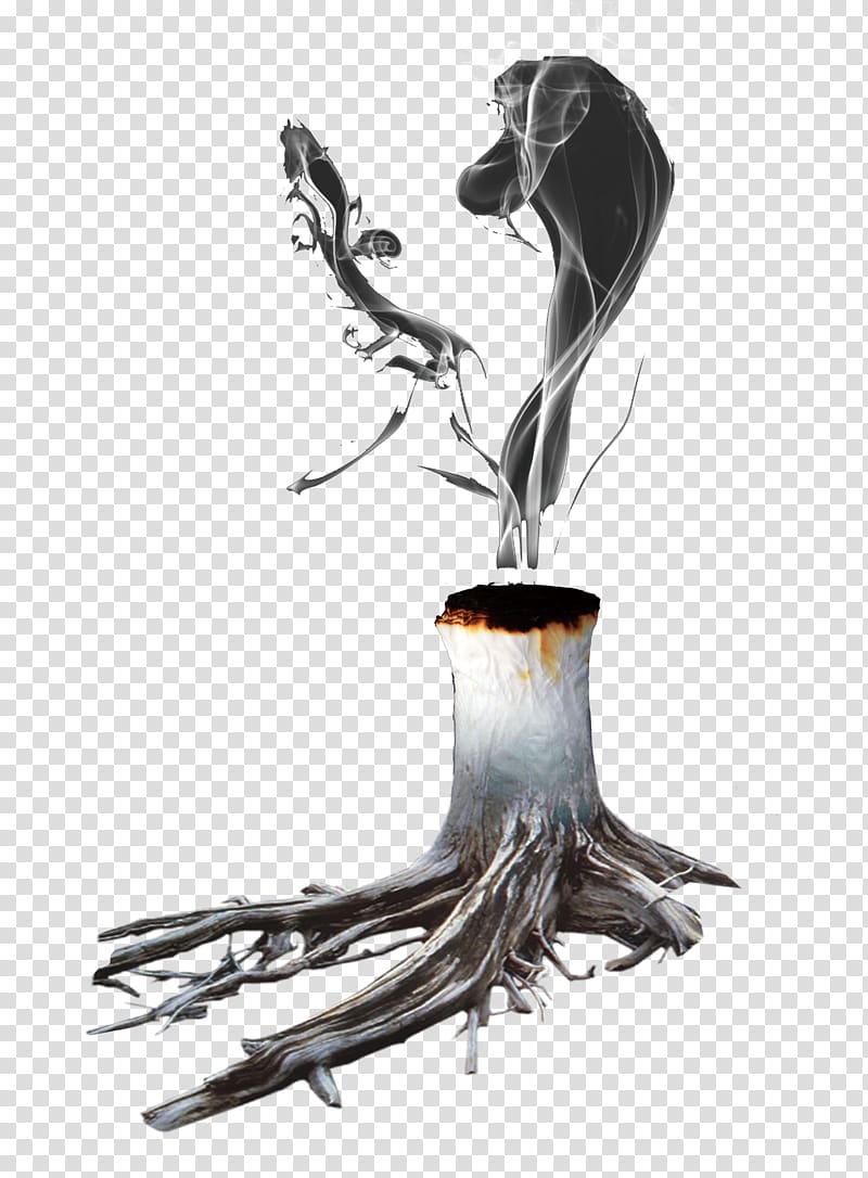Tree Root Trunk, smoke transparent background PNG clipart