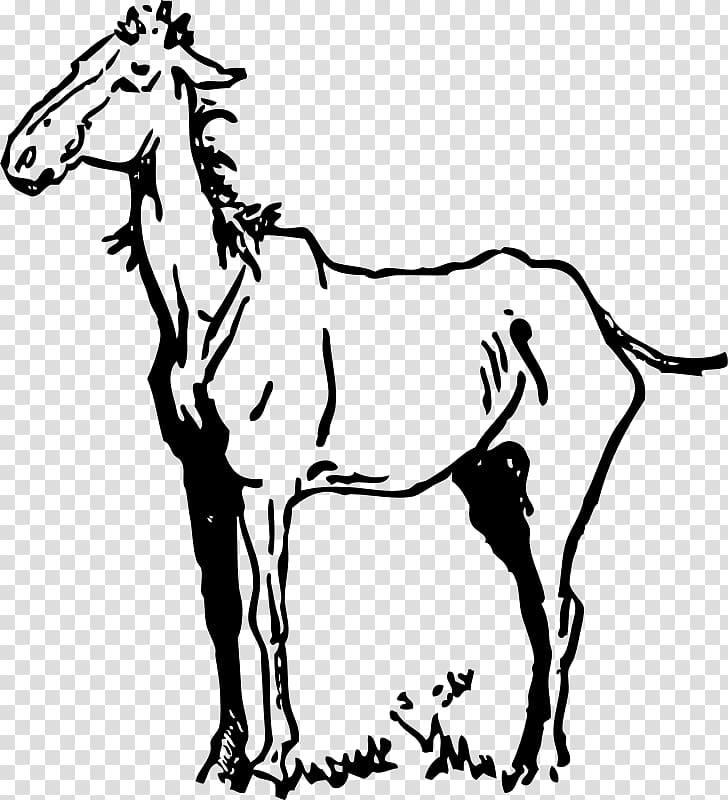 Mustang Friesian horse Open Equestrian, mustang transparent background PNG clipart