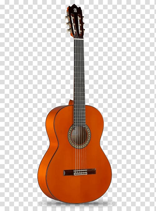 Maton Acoustic guitar String Instruments Classical guitar, guitar transparent background PNG clipart